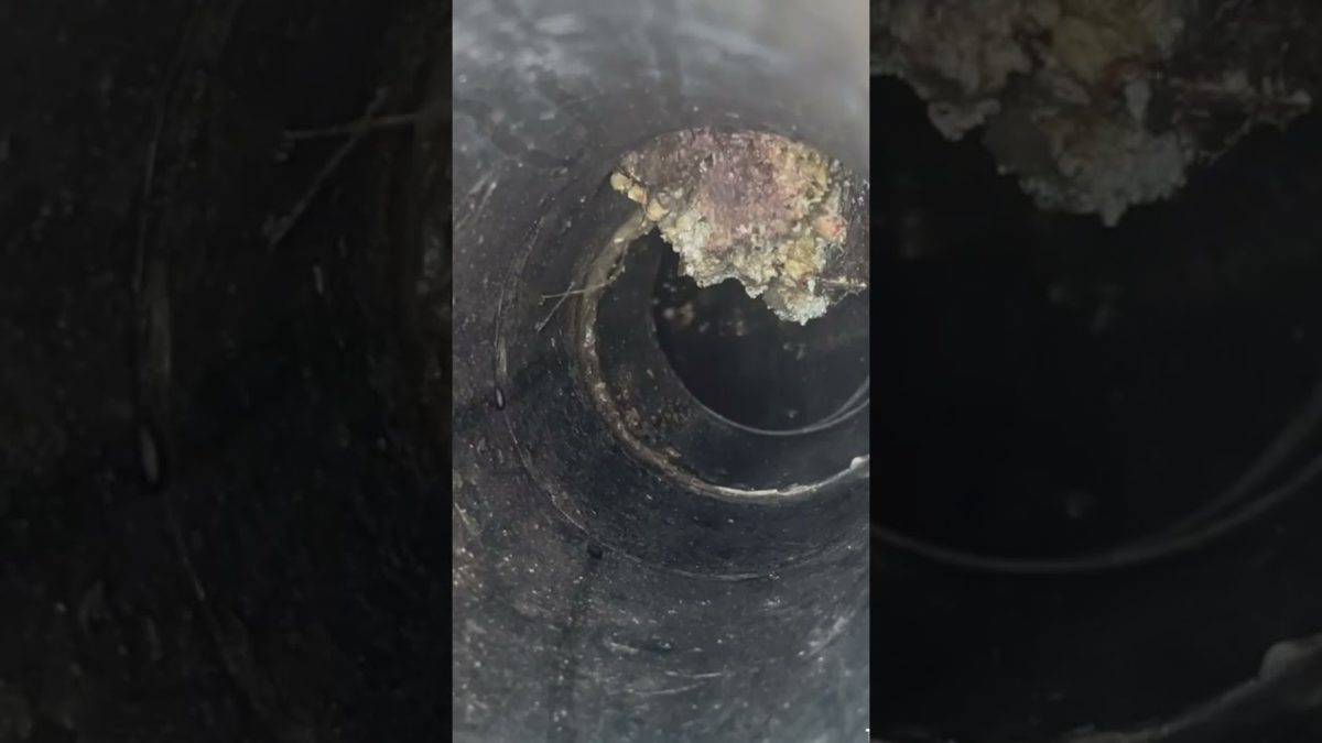 Detección de raíces en saneamiento en Girona para resolver obstrucciones y daños