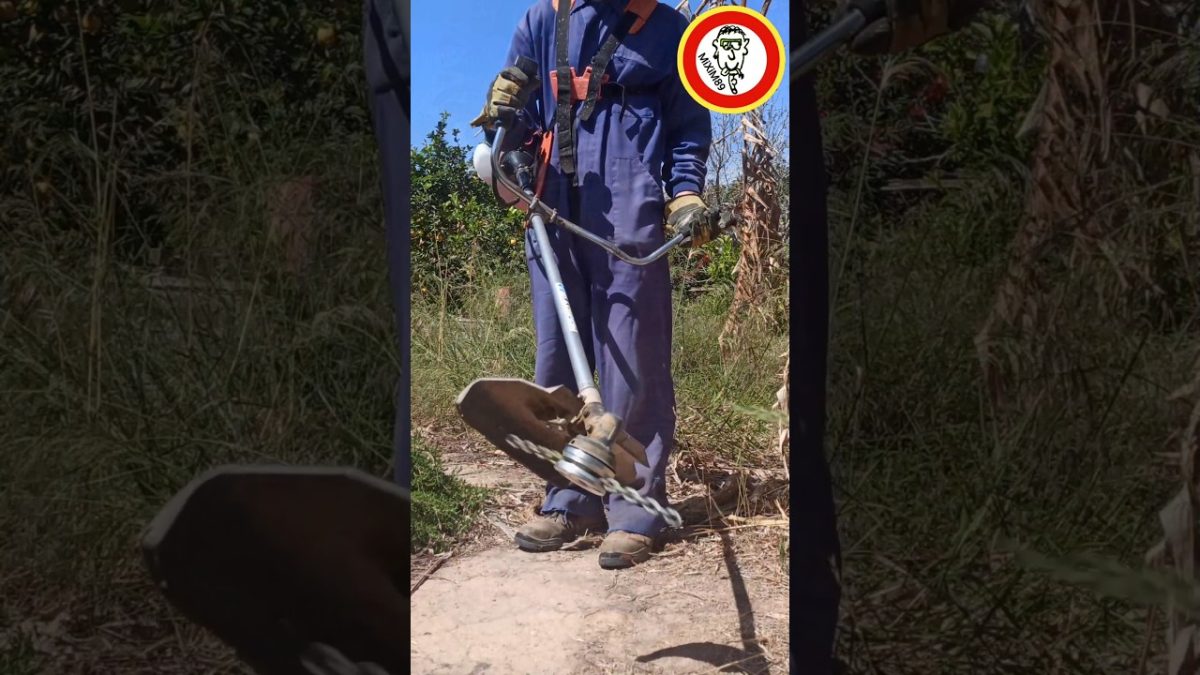 Limpieza de raíces con maquinaria especializada en Girona para desatascos efectivos