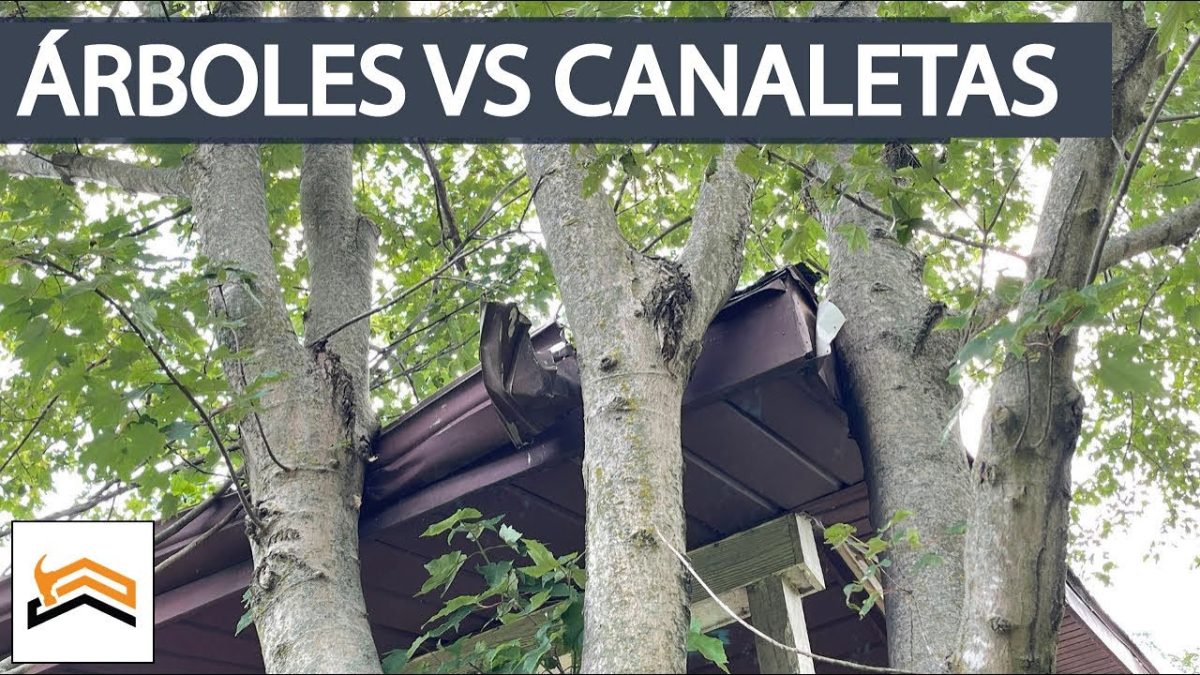 mantenimiento de bajantes en viviendas