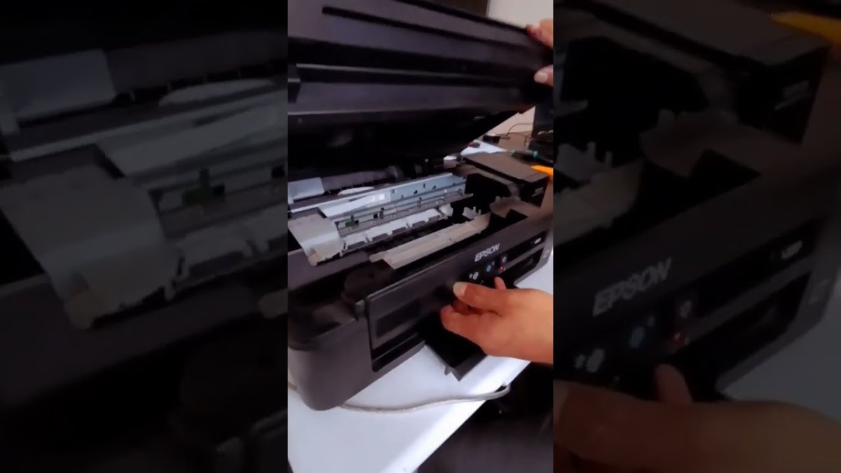 Solución definitiva a atascos por raíces en Girona